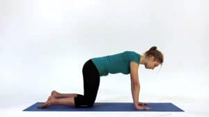 13. 4 Point Kneeling Exercise Beginner for Sciatica